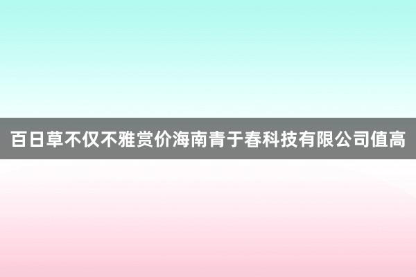 百日草不仅不雅赏价海南青于春科技有限公司值高