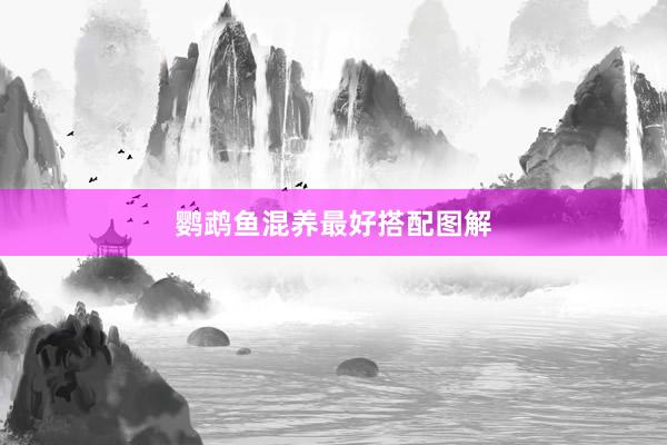 鹦鹉鱼混养最好搭配图解