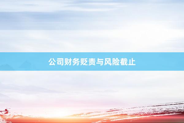 公司财务贬责与风险截止