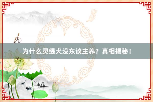 为什么灵缇犬没东谈主养？真相揭秘！
